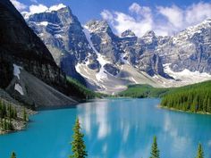 ¿Consideras a Canadá como la tierra prometida?