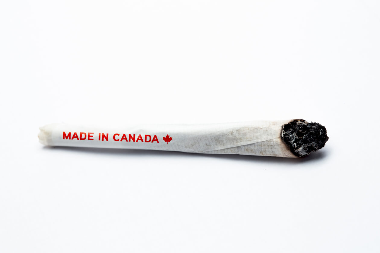 Iglesia Católica de Canadá rechaza la legalización de la marihuana 