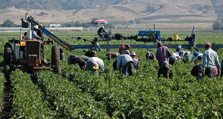 Canadá y EE.UU., denuncian violación de derechos laborales en Colombia 