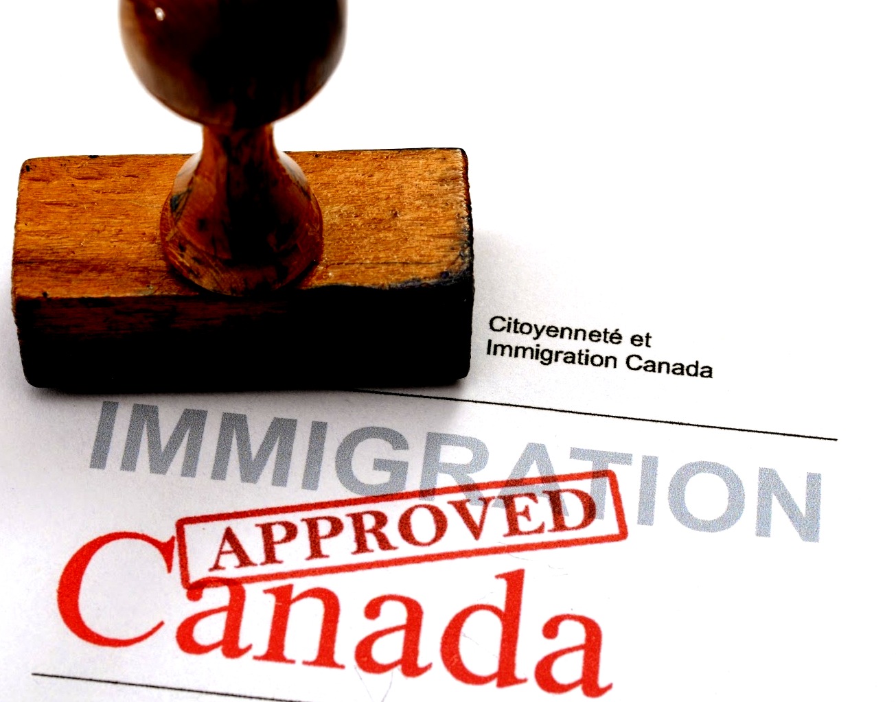 La frustración de un inmigrante luego de traer a su madre a Canadá  