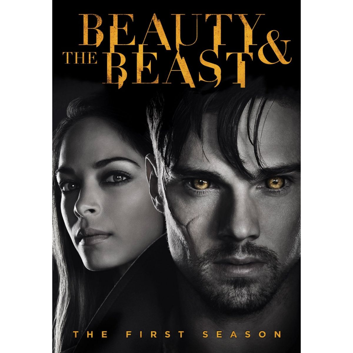 Beauty and the beast the fist season 