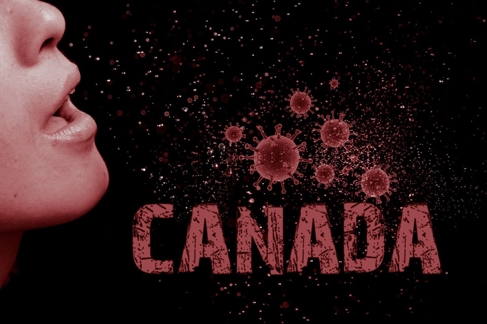 Canadá llagaría a los 60 mil contagios diarios antes de fin de año, advierten expertos