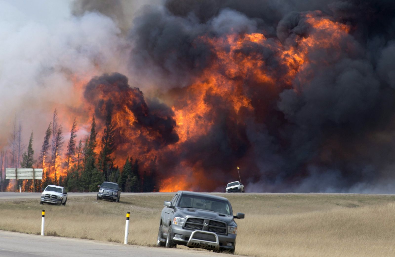 Los incendios forestales en Canadá aumentaron en fortaleza y los daños que causan    