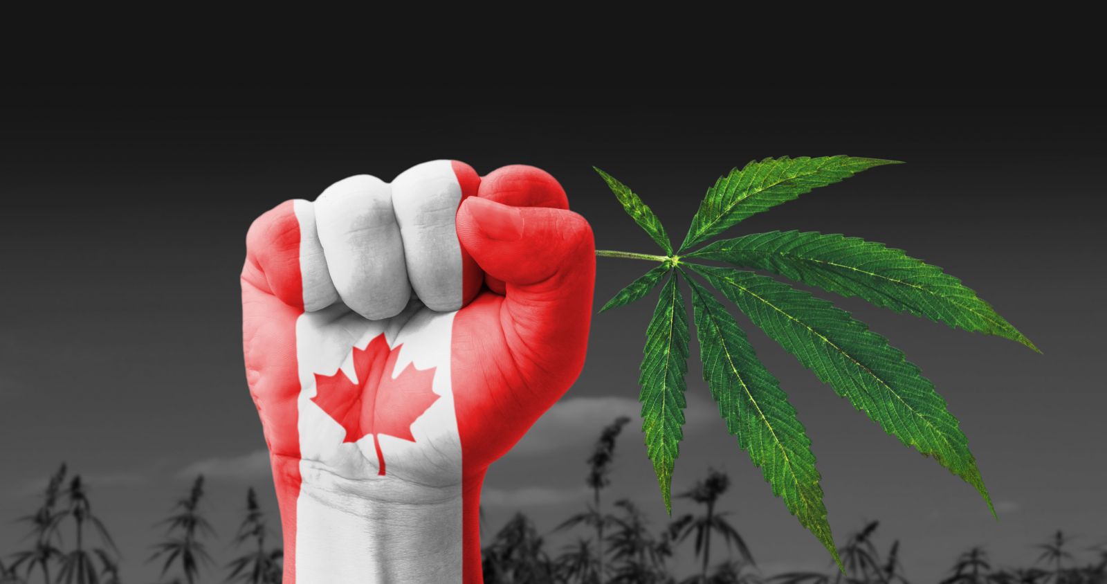 Borrarán antecedentes penales de canadienses por posesión de marihuana