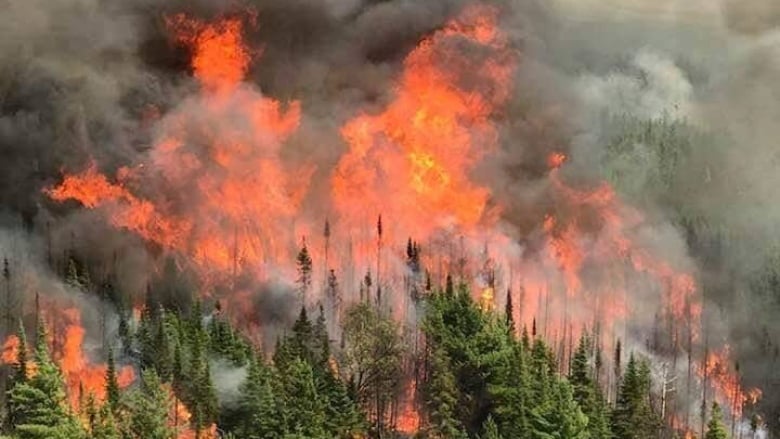 Graves incendios forestales arrasan una gigante zona al noreste de Ontario  | La Portada Canadá