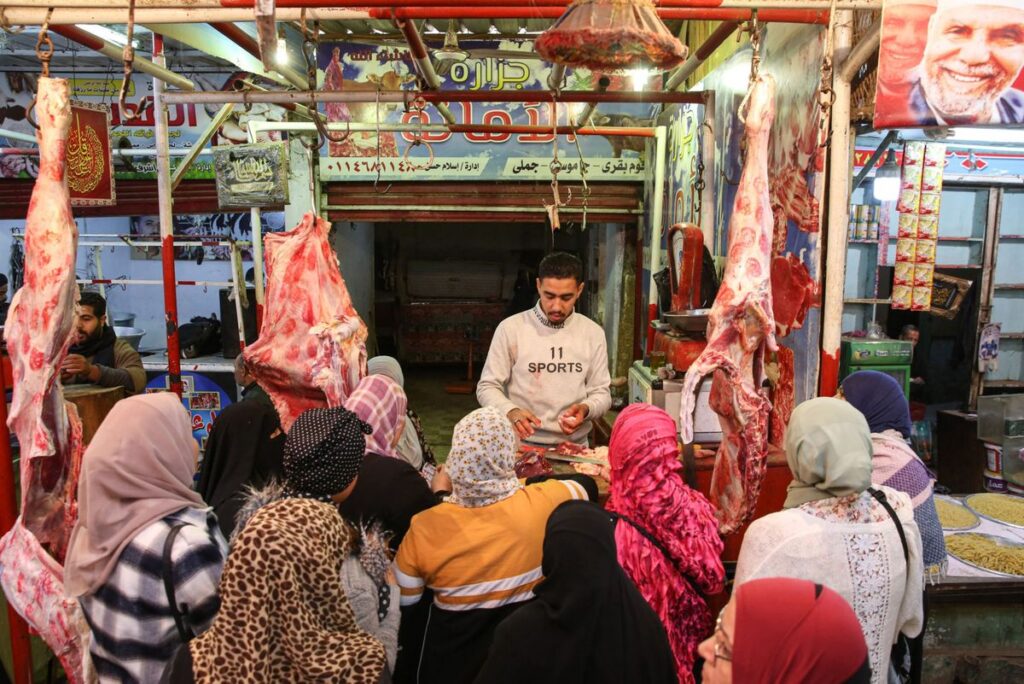 En Egipto invitan a comer carne de burro y caballo, para enfrentar la inflación 